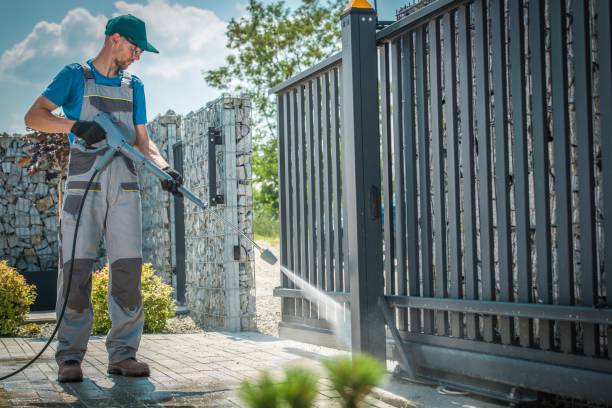 Best Driveway Pressure Washing  in Lan, MI