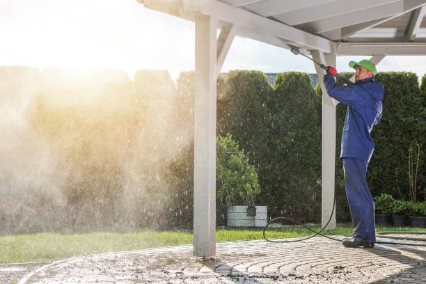 Best Residential Exterior Washing  in Lan, MI